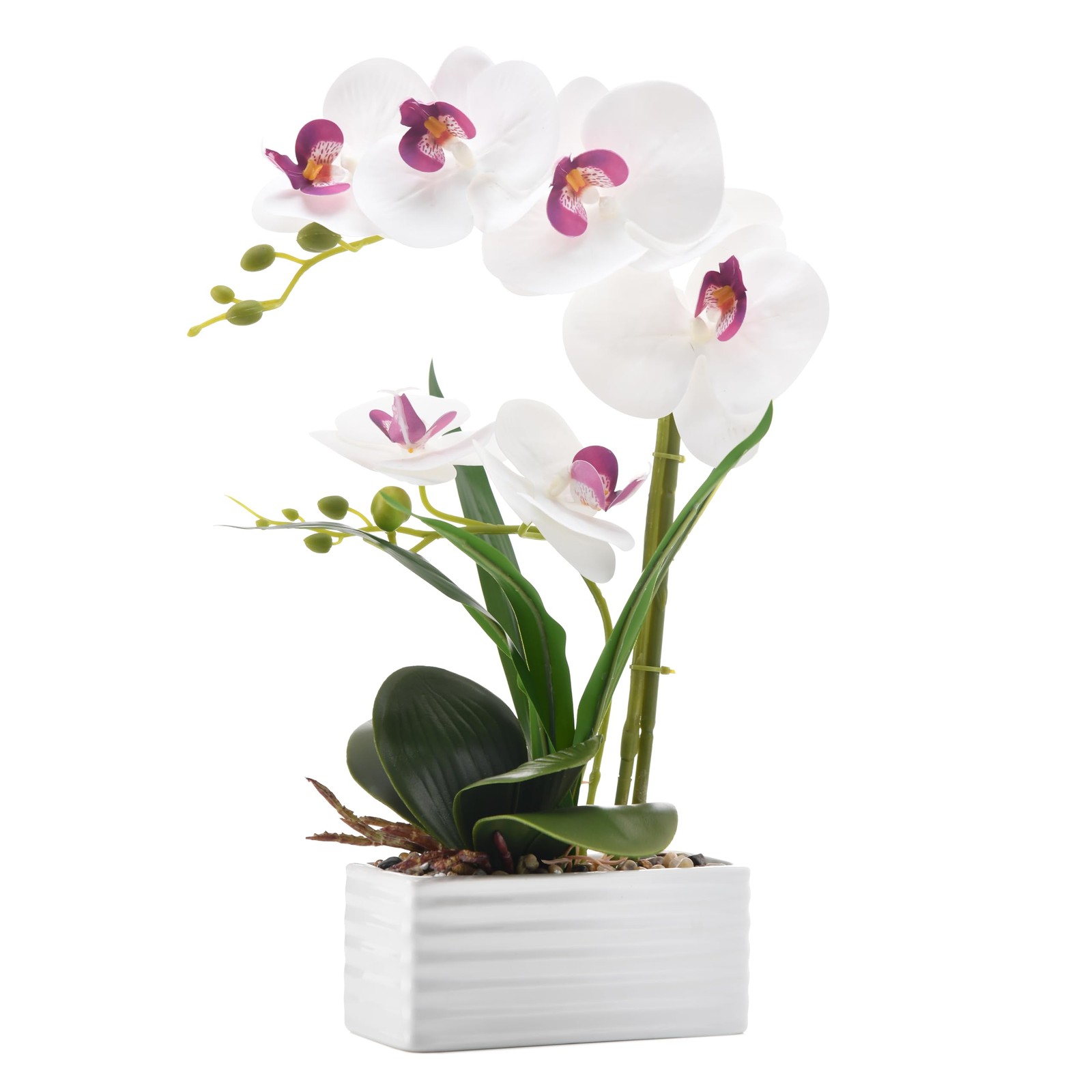 Artificial Real Touch Orchid Flowers in Pot Fake Phalaenopsis Flower with Whi…