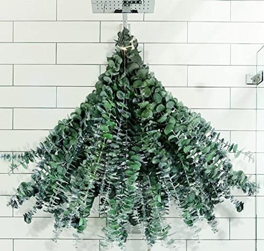 30 Pcs Dried Preserved Eucalyptus Stems Shower Bundle, 9oz 17″ 100% Green-30pcs
