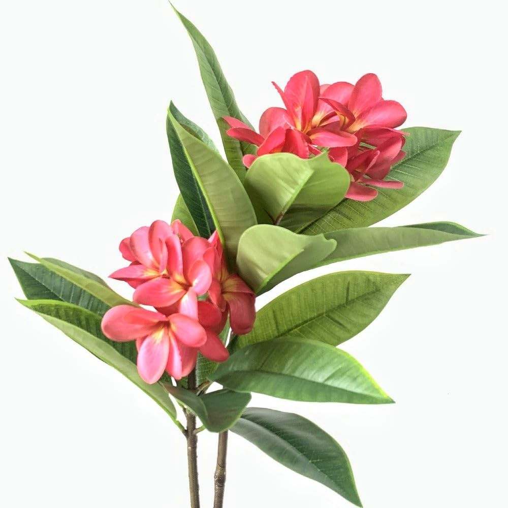 35.5 Inch Artificial Flowers Artificial Frangipani Flower 2 Stems Lifelike Re…