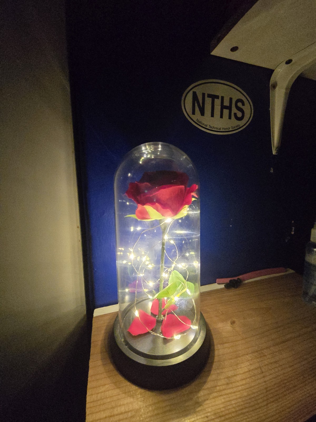 Eternal Red Rose Flower in Glass Dome with LED Lights Floral Decor
