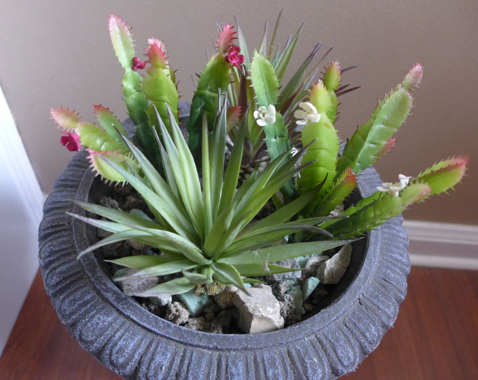 4 Artificial Mini Plants Agave Gladiolus Blooming Cactus Succulents Grass