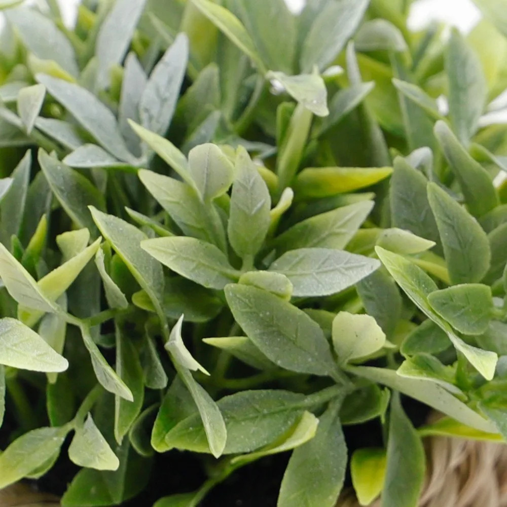Green Artificial Potted Plant Eucalyptus Grass 11cm Artificial Plants Plastic