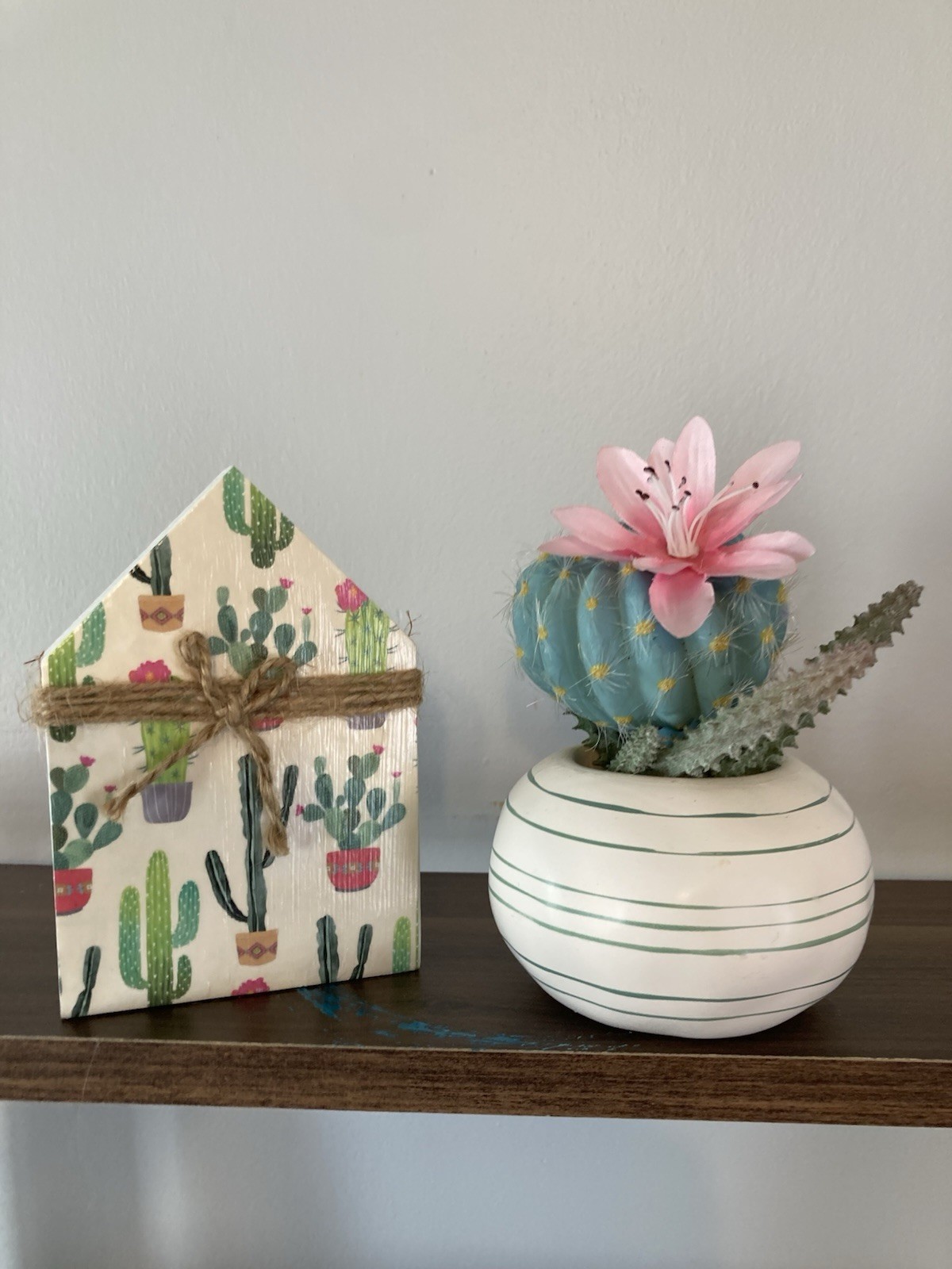 Succulent Tabletop Decor