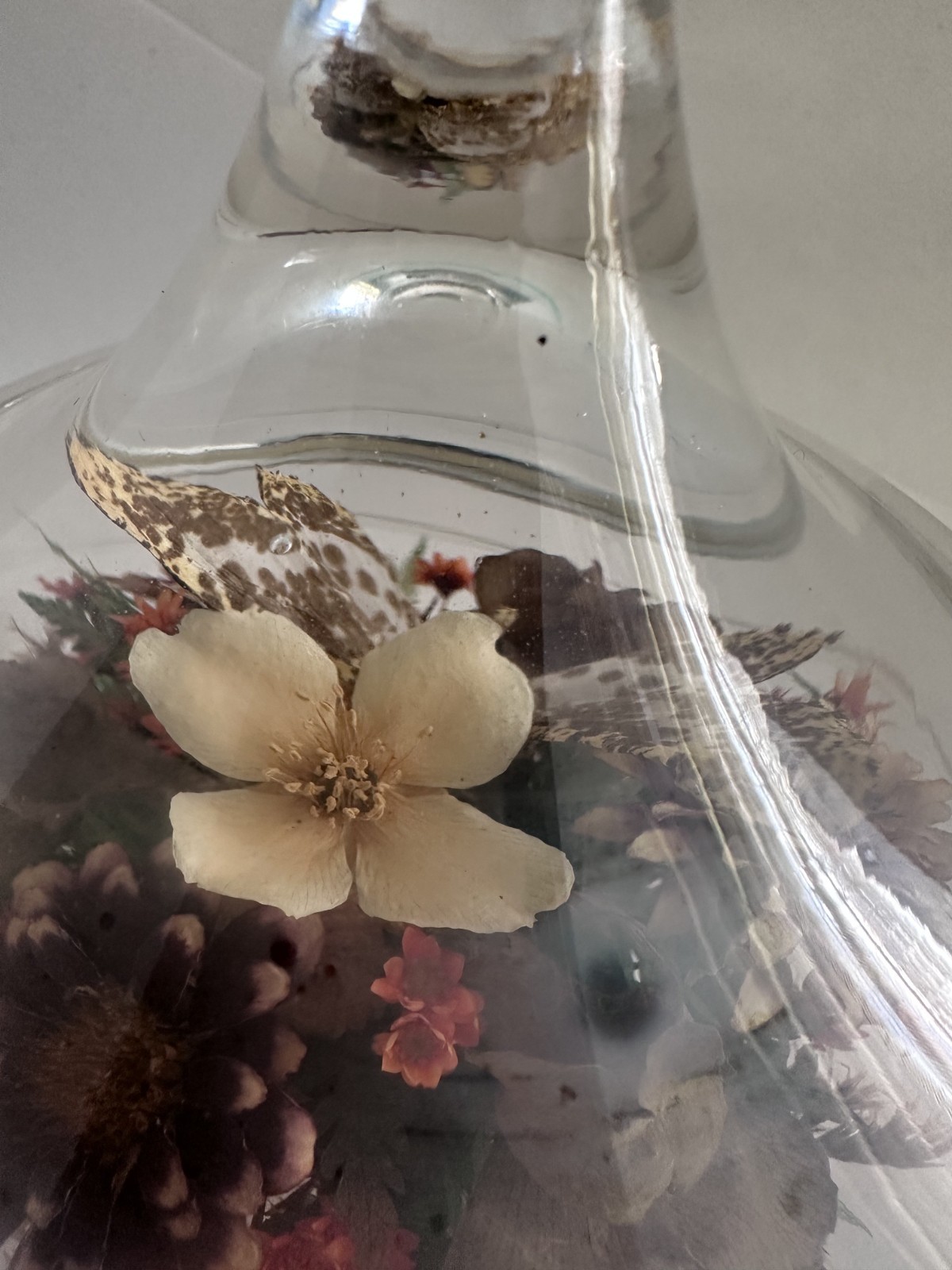 Vintage Glass Cloche Terrarium Butterfly Dried Flowers Pedestal Dome Display