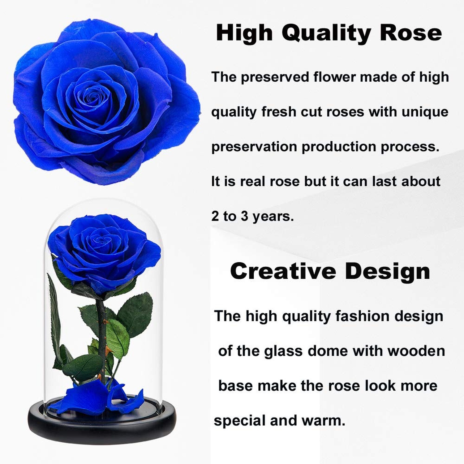 Preserved Rose Blue Real Rose in Glass Dome, Roses Never Withered Flower Gift…