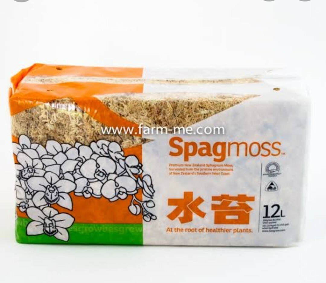 Sphagnum Moss Nursery Orchid Plant New Zealand Besegrow Long Fiber Decorationx 6