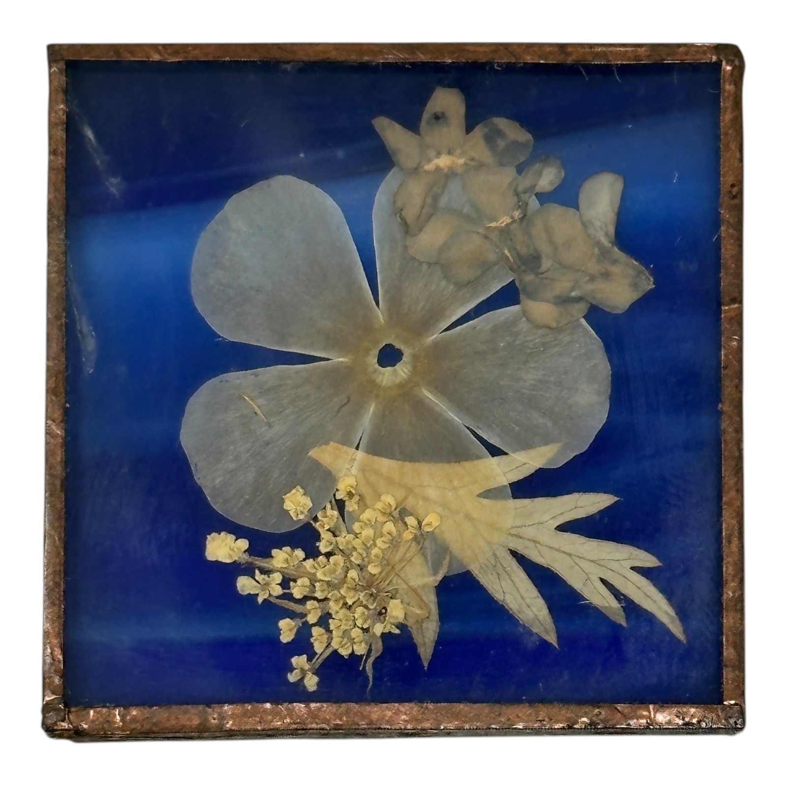 Vintage 70s BC Canada Pressed Flower Fused Glass Tile Cobalt Copper Frame 1½”