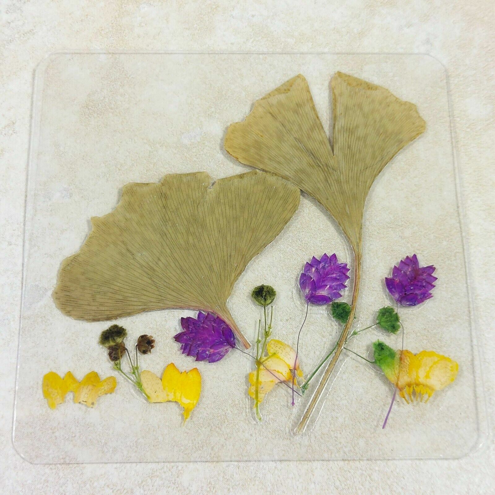 Dried Pressed Flowers Natural Flower Petal Set Resin Art Design Home Décor Gift