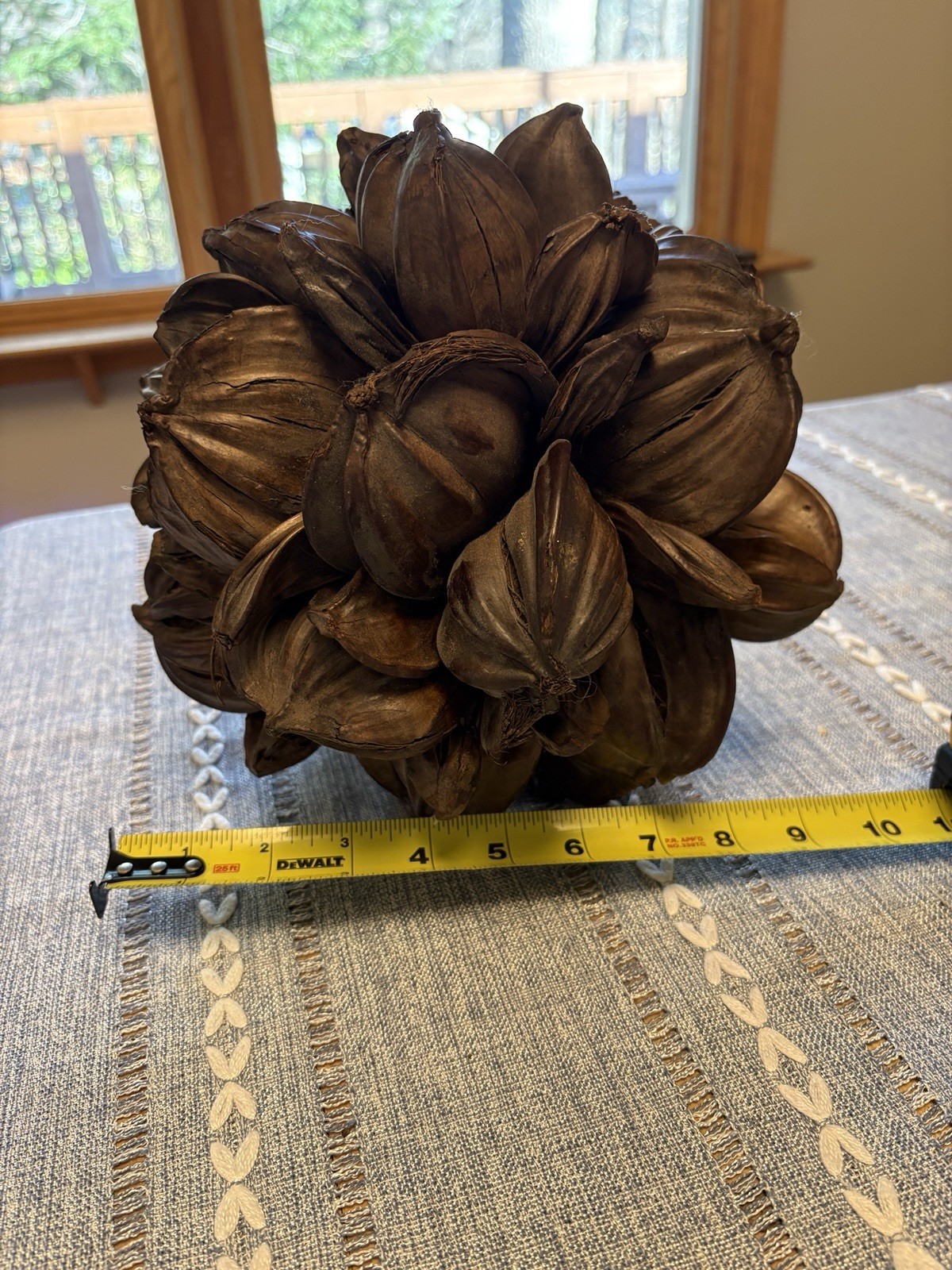 Vietnamese Water Coconut Nipa Palm Fruit Cluster Seed Pod Nypa Fruticans