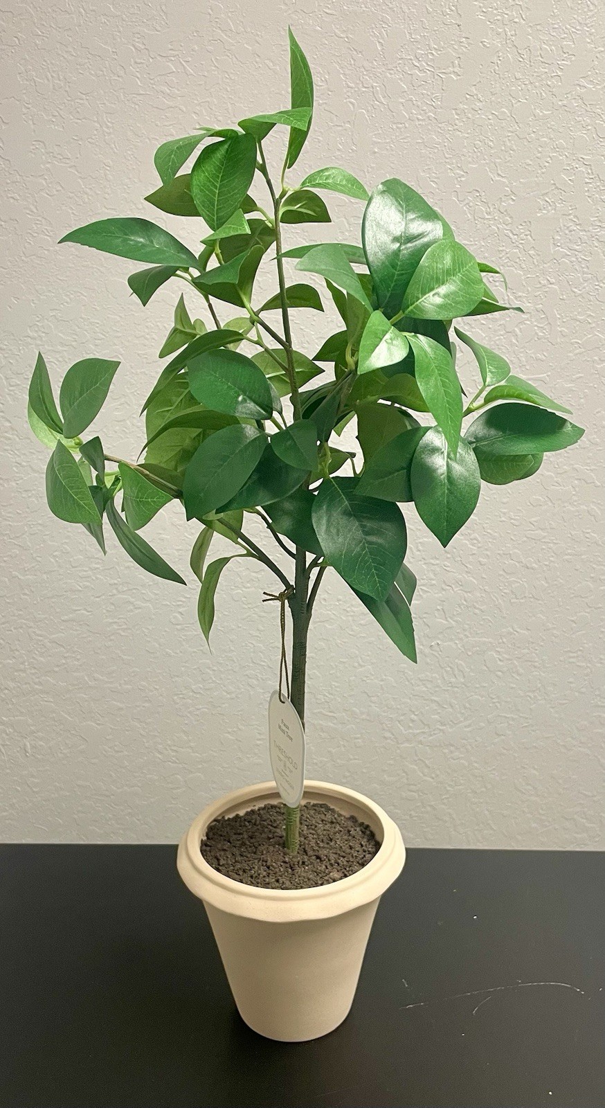 2x Green Leaf Mini Artificial Trees, Green, 2’ Tall, See Description, Brand New!