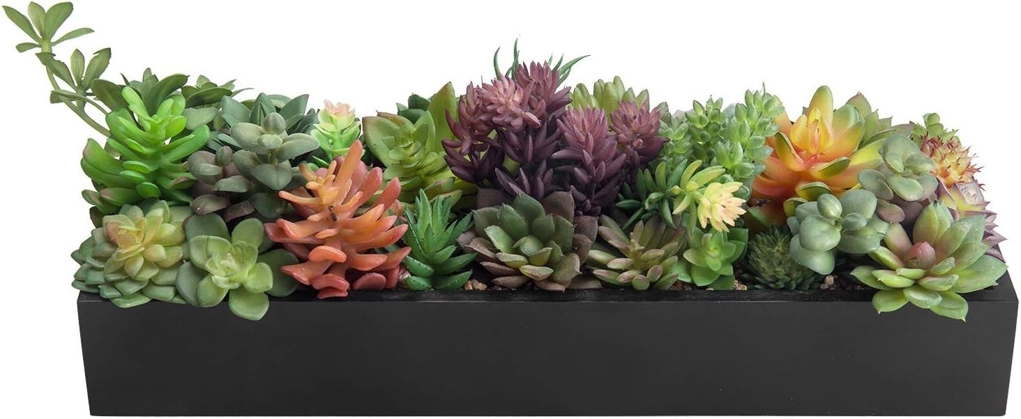 15.75 Inch Faux Artificial Succulent Plants in Rectangular Black Wood Plant Box