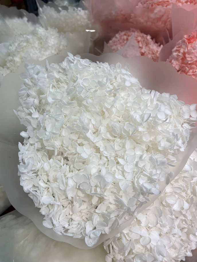 Preserved Hydrangeas, Dried Floral Décor White 4″