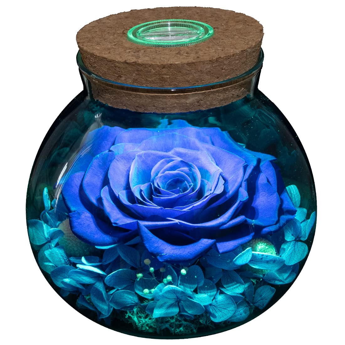 Preserved Real Roses With Colorful Mood Light Wishing Bottle Eternal Rosenever