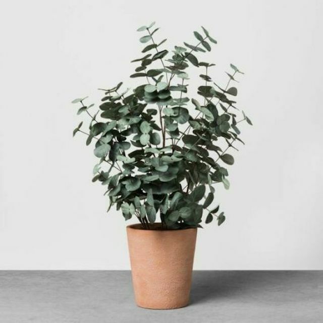 Hearth & Hand Magnolia Faux Large Eucalyptus 22″ Tall Terracotta Pot Plant NEW