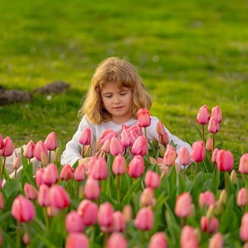 15 Pcs Real Touch Fake Tulips – Artificial Flowers for Wedding, Home, Party Deco