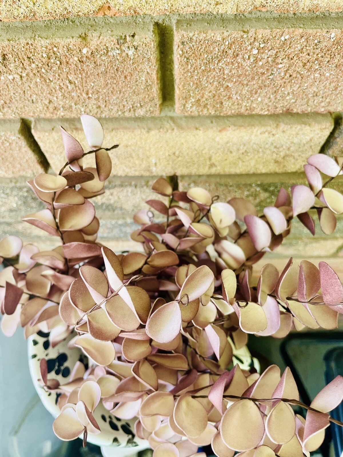 Burgundy Fall Ombré Eucalyptus Leaf Spray, 22”