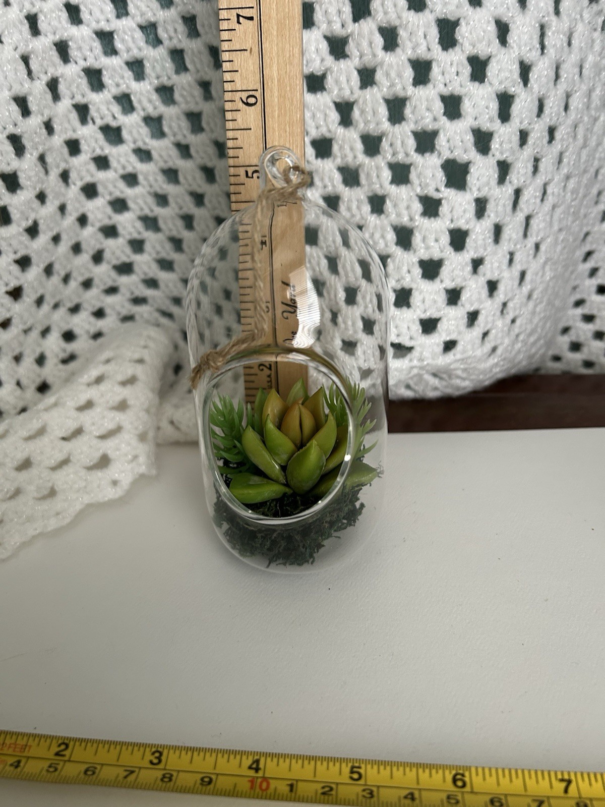 5” Glass Terrarium Year-Round Ornament with Lifelike Faux Succulent Plant