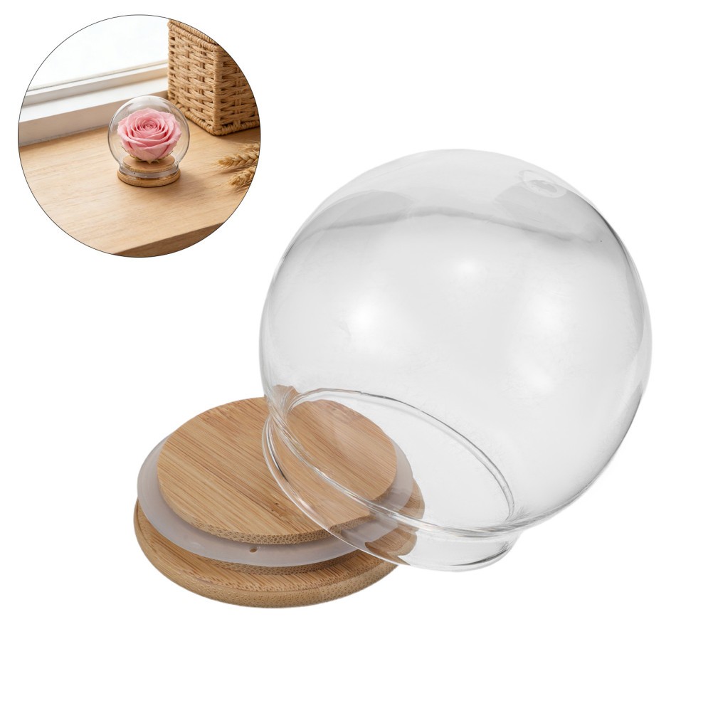 2Pcs Clear Glass Dome Cloche Covers for Miniature Display and Dust Protection