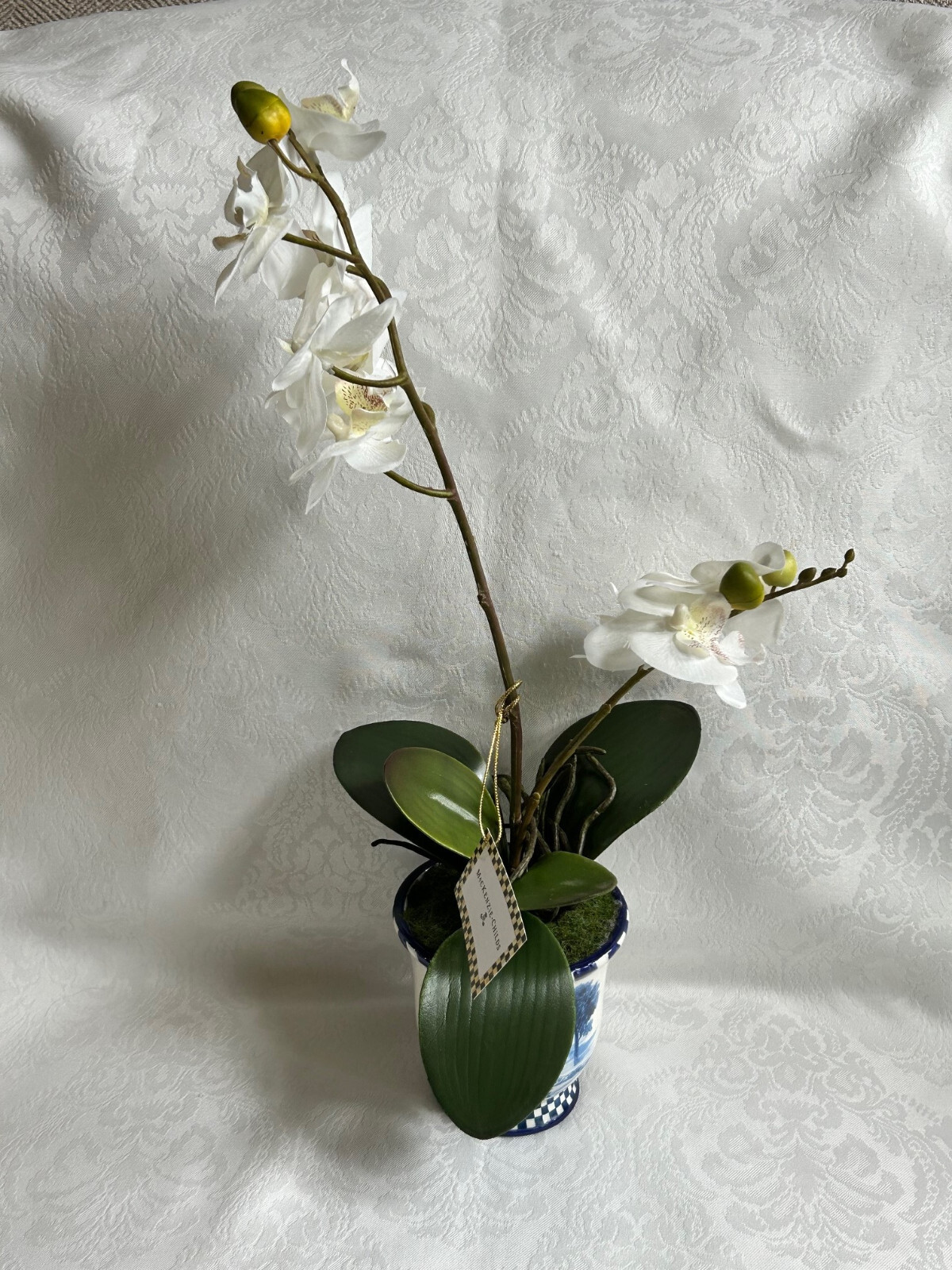Mackenzie Childs ROYAL TOILE Medium POTTED ORCHID Blue/White Ceramic 17″ T NEW