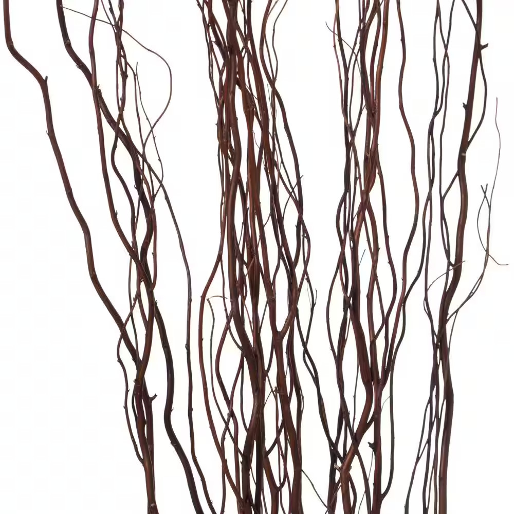 57 In. Brown Natural Dry Branches Authentic Willow Birch Sticks for Home Decorat
