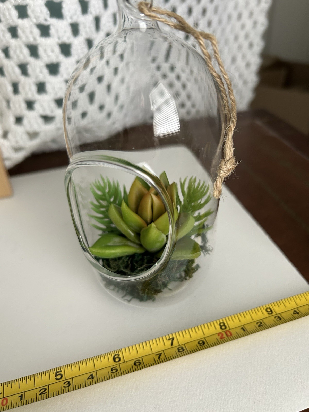 5” Glass Terrarium Year-Round Ornament with Lifelike Faux Succulent Plant