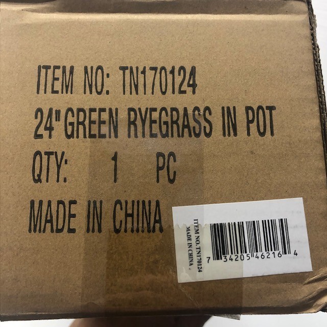 Vickerman 24″ Everyday Artificial Green Potted Ryegrass Faux Grass Plant Decor