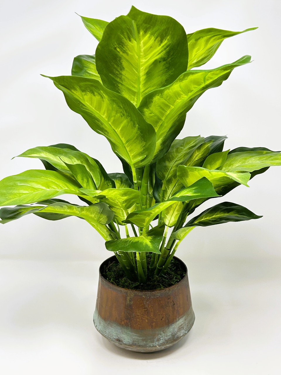 18″ Lg Artificial AGLAONEMA DIEFFENBACHIA faux Silk plant in Copper Pot