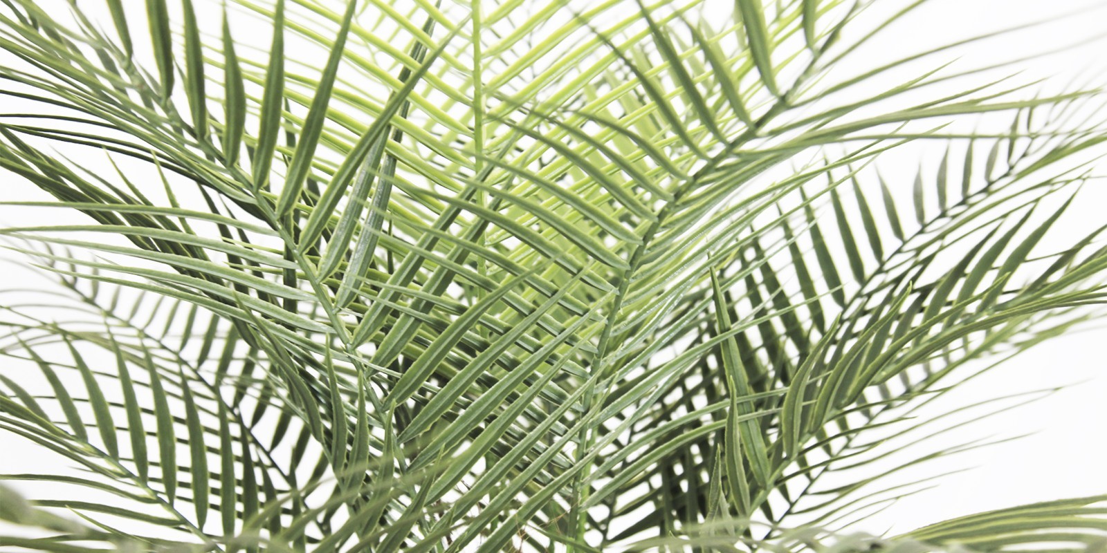 150cm Artificial Coconut Palm Single Stem 2 Pcs Realistic Fake Plant Home Garden
