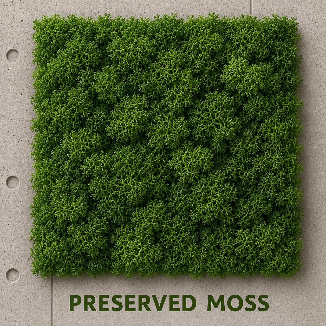Preserved Reindeer Moss Natural Dark Green, 1.1 LB Real Moss for DIY Crafts, Mos