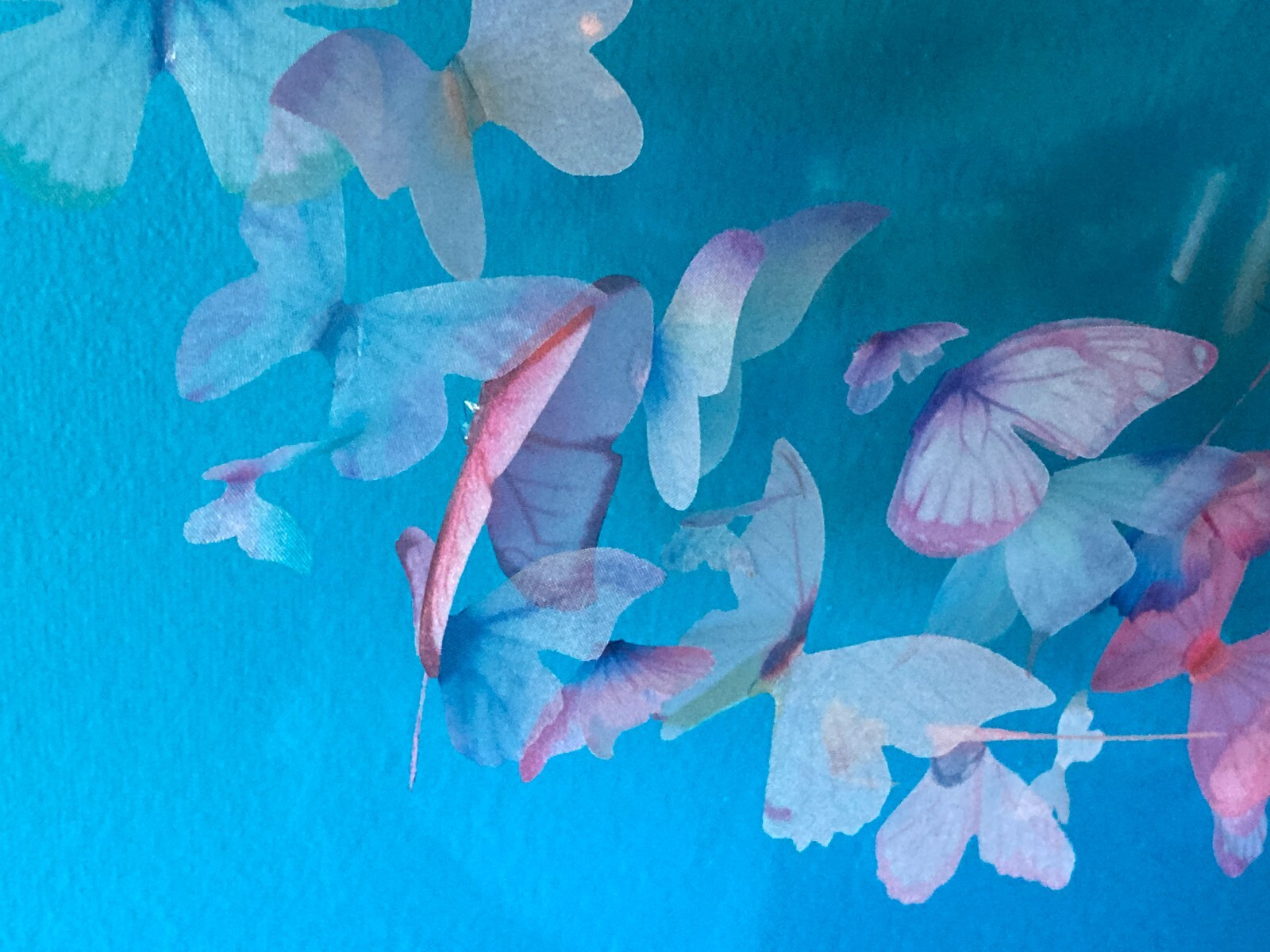 Butterfly Swirls & Blue Sky – Original Artwork / Real ZOOM Background 4′ x 8.2′