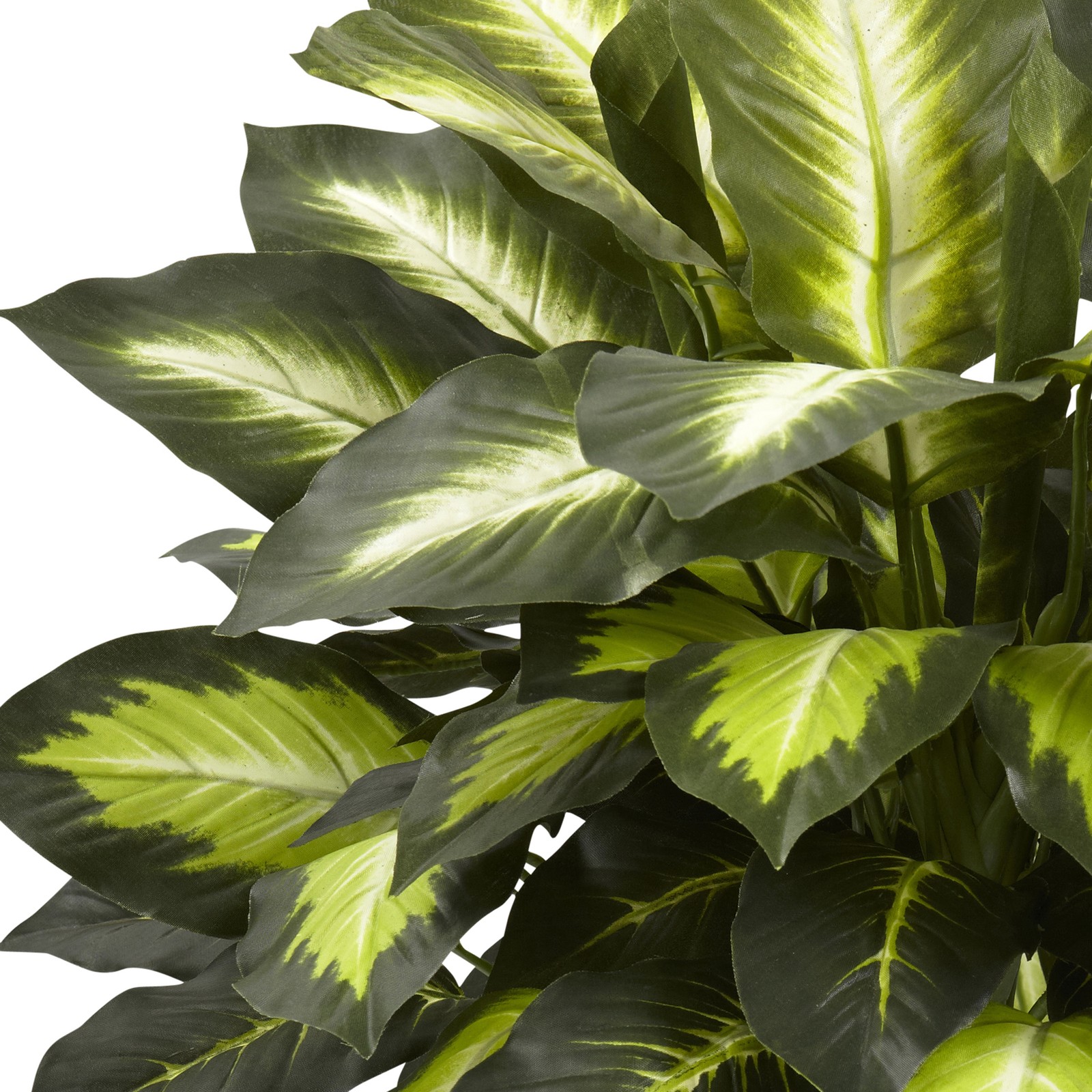 Nearly Natural Triple Golden Dieffenbachia with Wood Vase in Green/Black