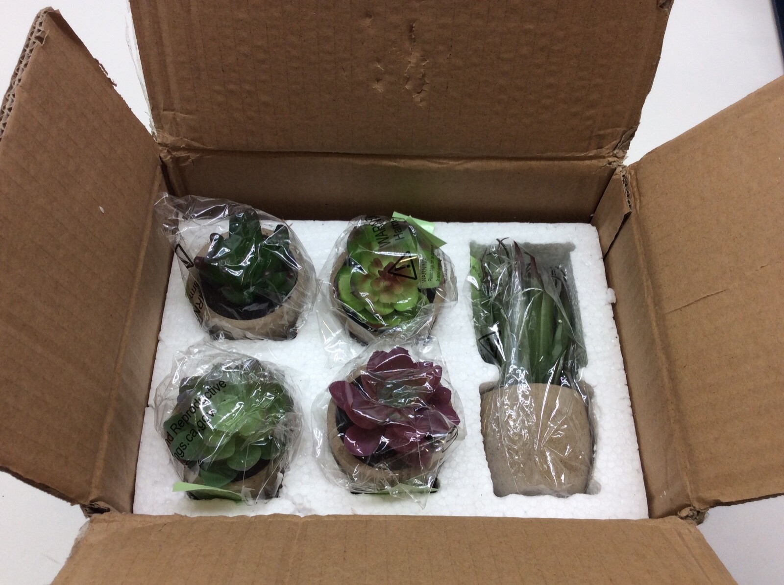 Pure Garden Faux Succulents Set of 5 Assorted Lifelike Plastic Greenery in Stone