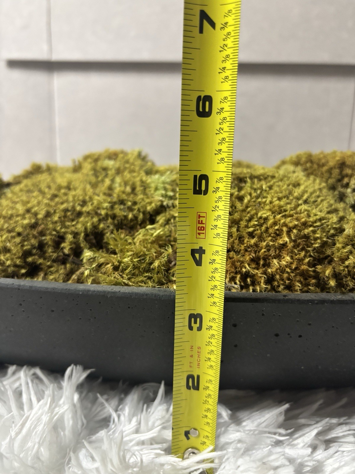 Moss centerpiece decor Dimensions 20.5” x L 6” x W 4-5 x H