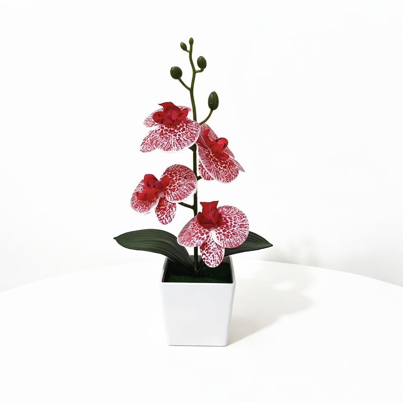 4-Bloom Faux Phalaenopsis Orchid in Trendy White Square Pot for Any Room