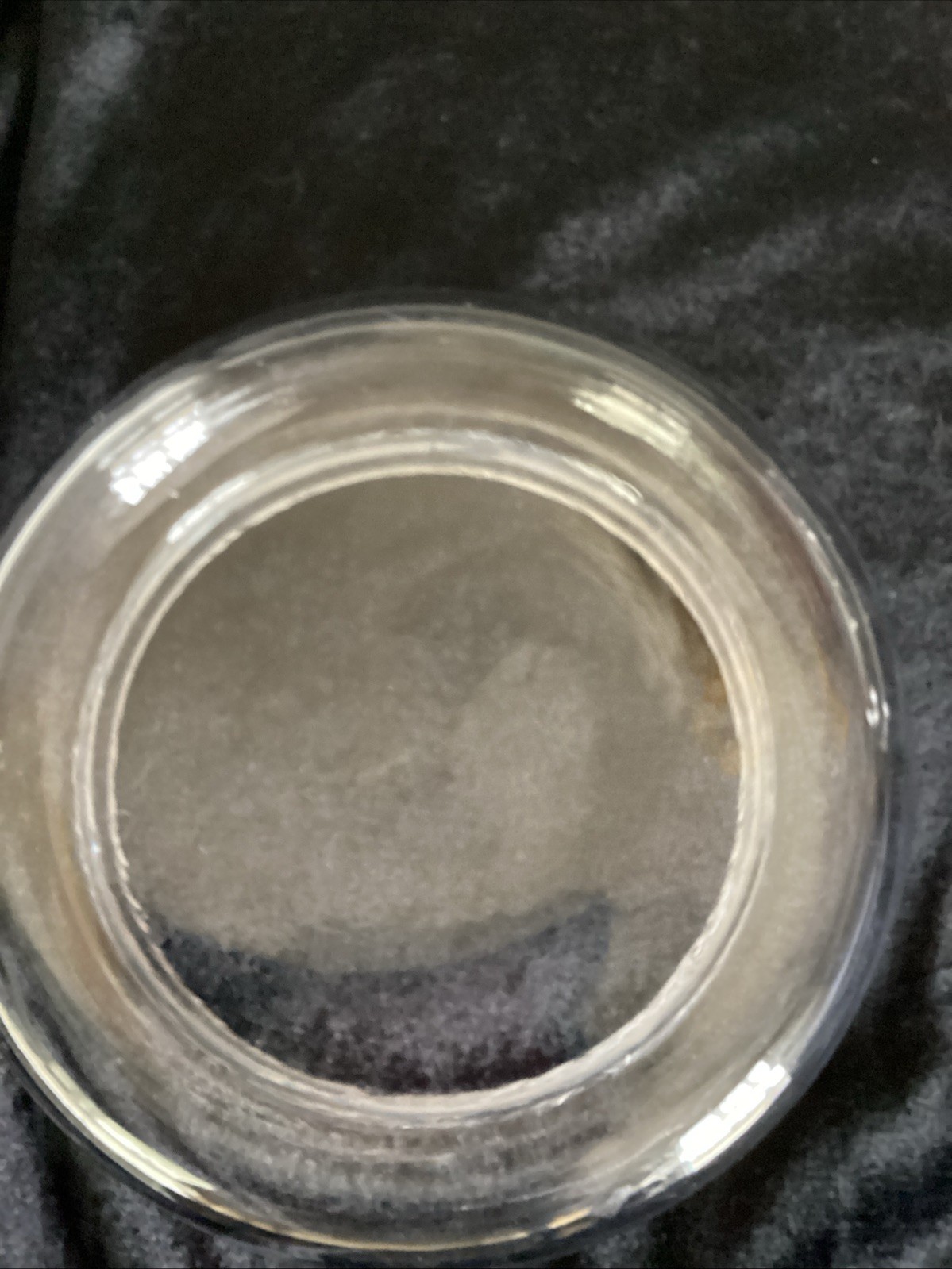7×7 inches Glass Cloche and Base Small Terrarium with 2 Air Holes Display Case