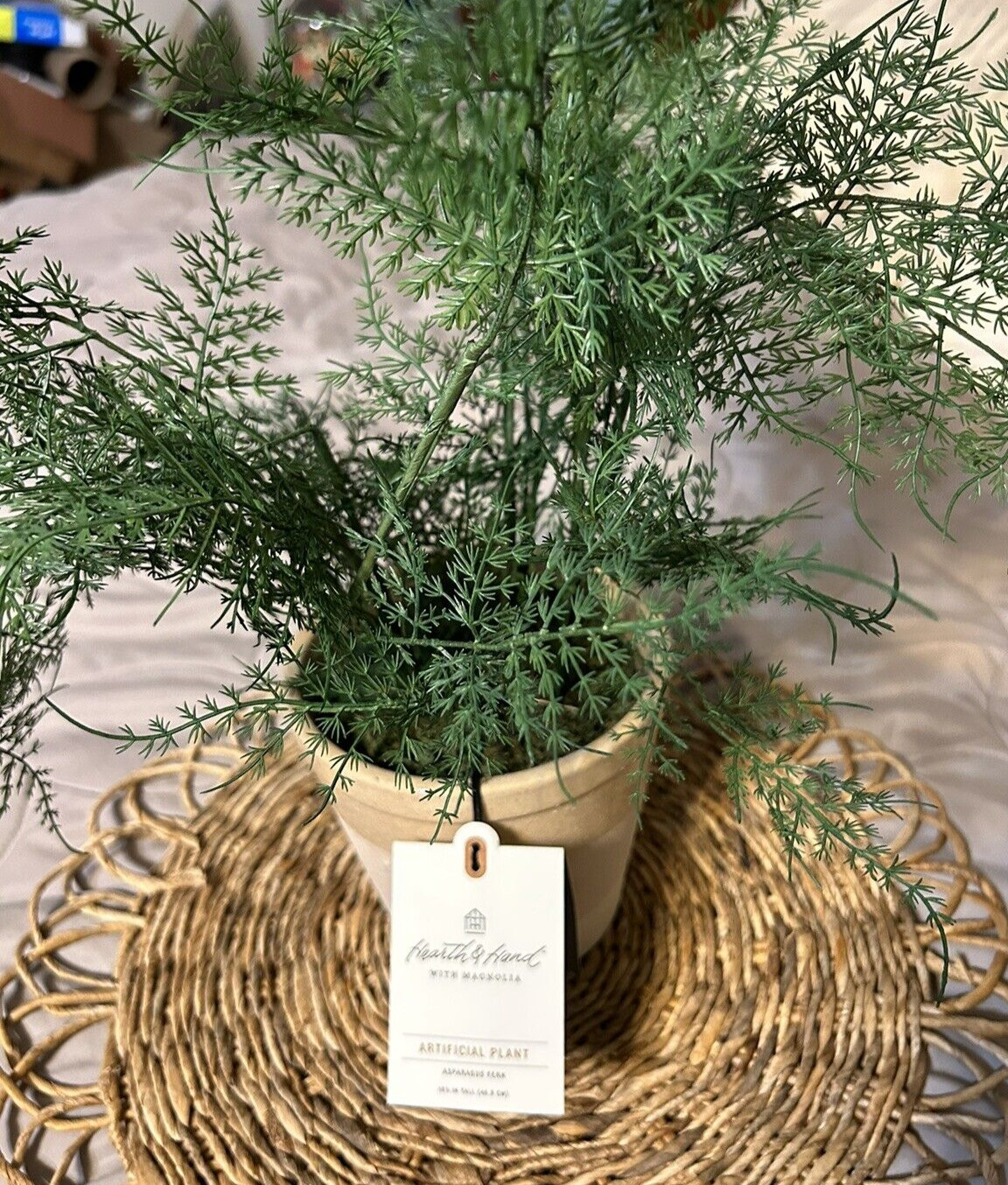 Hearth and Hand with Magnolia Artificial Faux Potted Plants Asparagus Fern