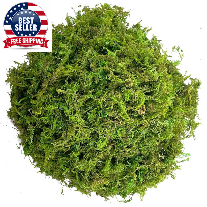 Artificial Moss Green for Potted Plant Orchid Potting Mix Peat Moss Pole Craft