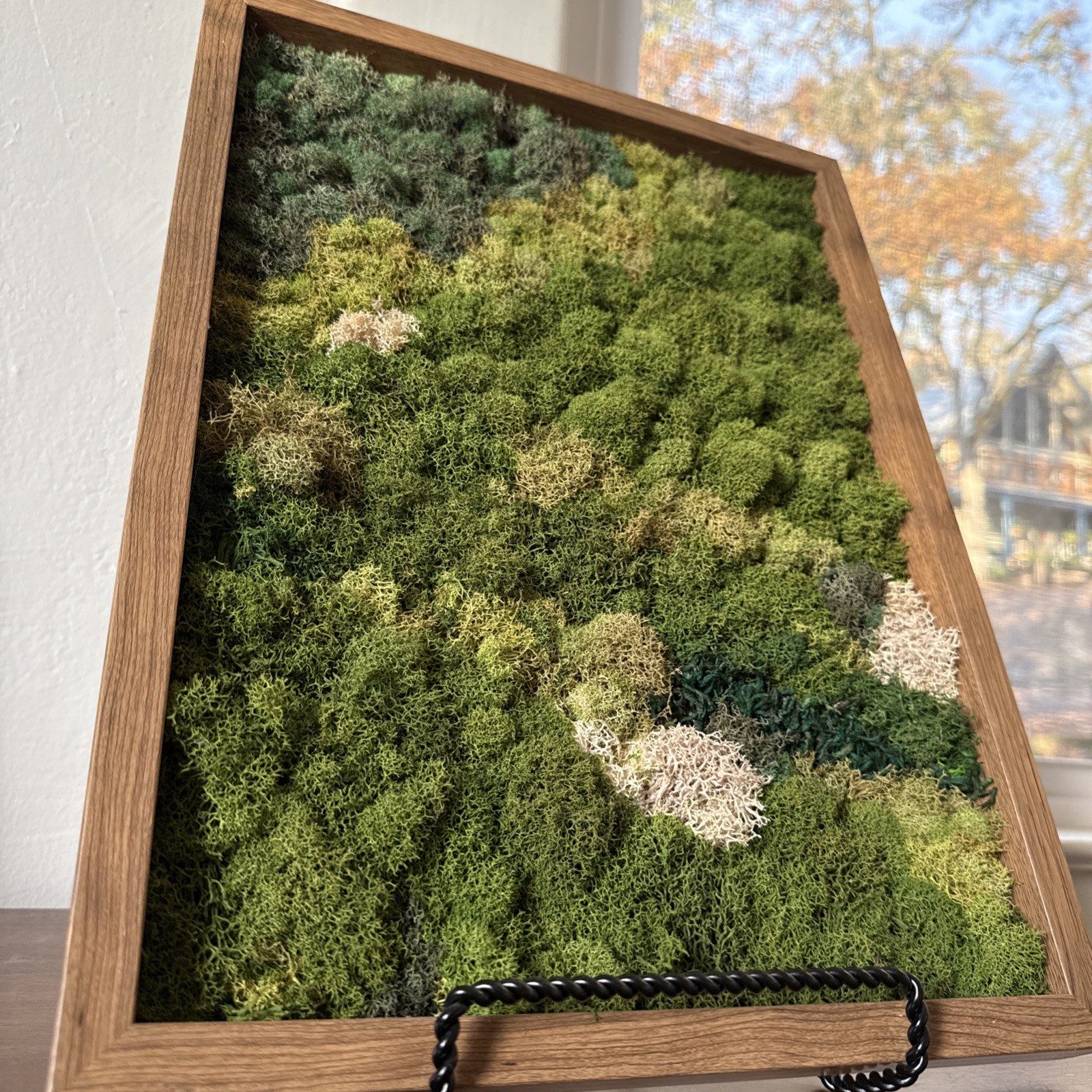 Preserved Moss Wall Art, Handmade, Wood Framed