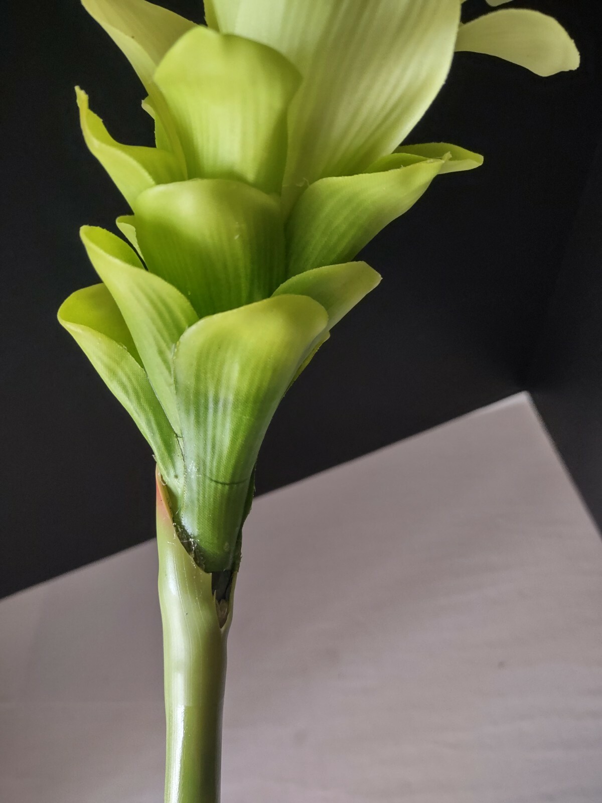 Ginger lily stem. Silk arrangements tropical Hawaiian flowers Lime Green