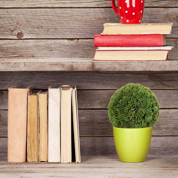 4-Inch Green Boxwood Ball Topiary, Foliage Artificial Greenery, Set of 2