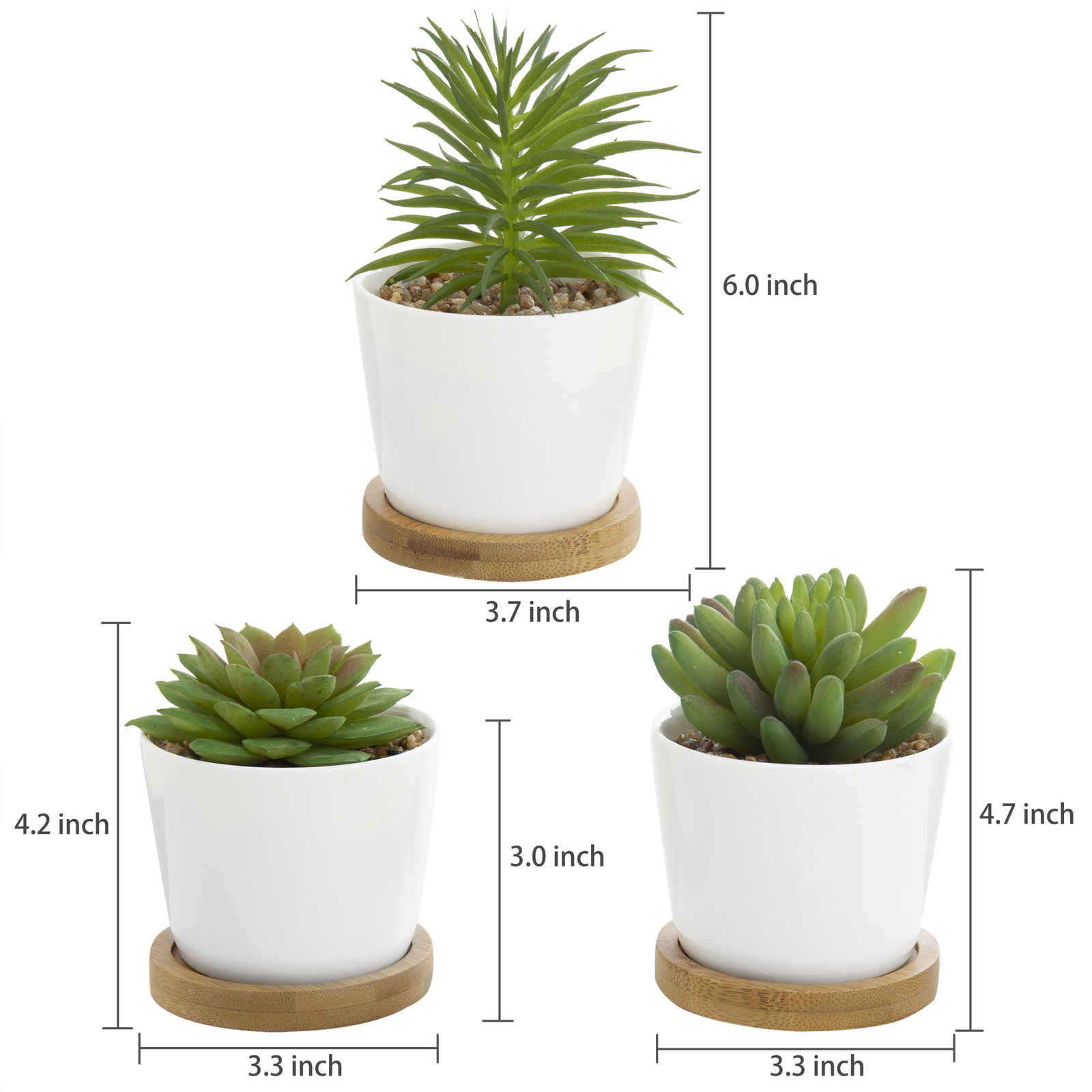 Decorative Faux Succulent Plants in White Ceramic Pots w/Bamboo Saucer, 3 Pots