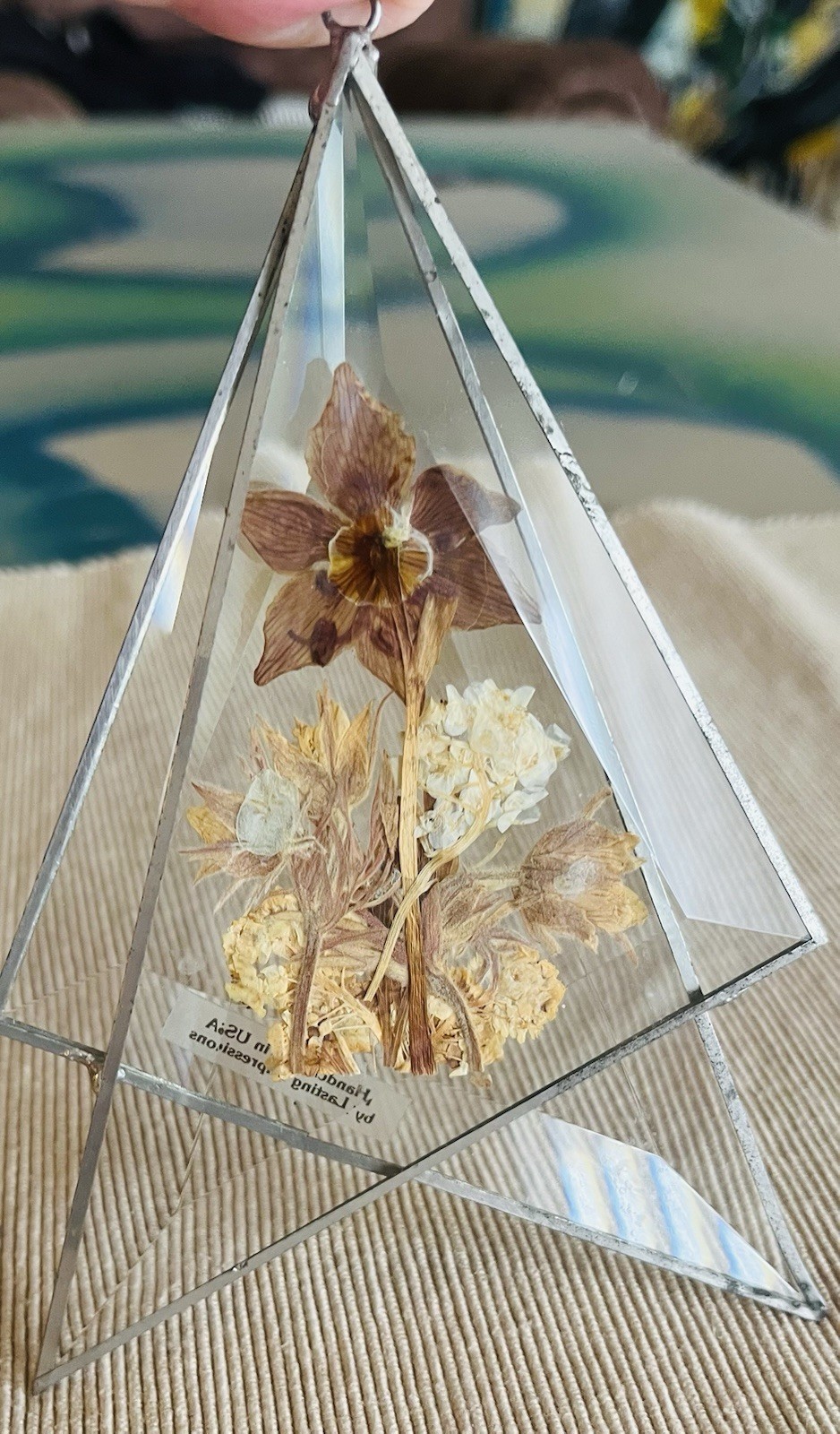 Lasting Impressions Real Dried Flowers Glass Wall Hangings Metal Frame