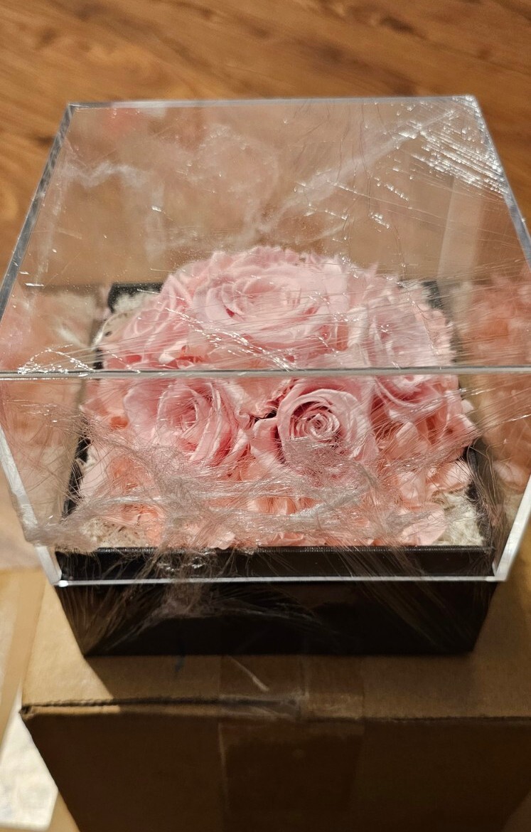 Agrul Preserved Real Roses Gifts for Her Women Pink Eternal