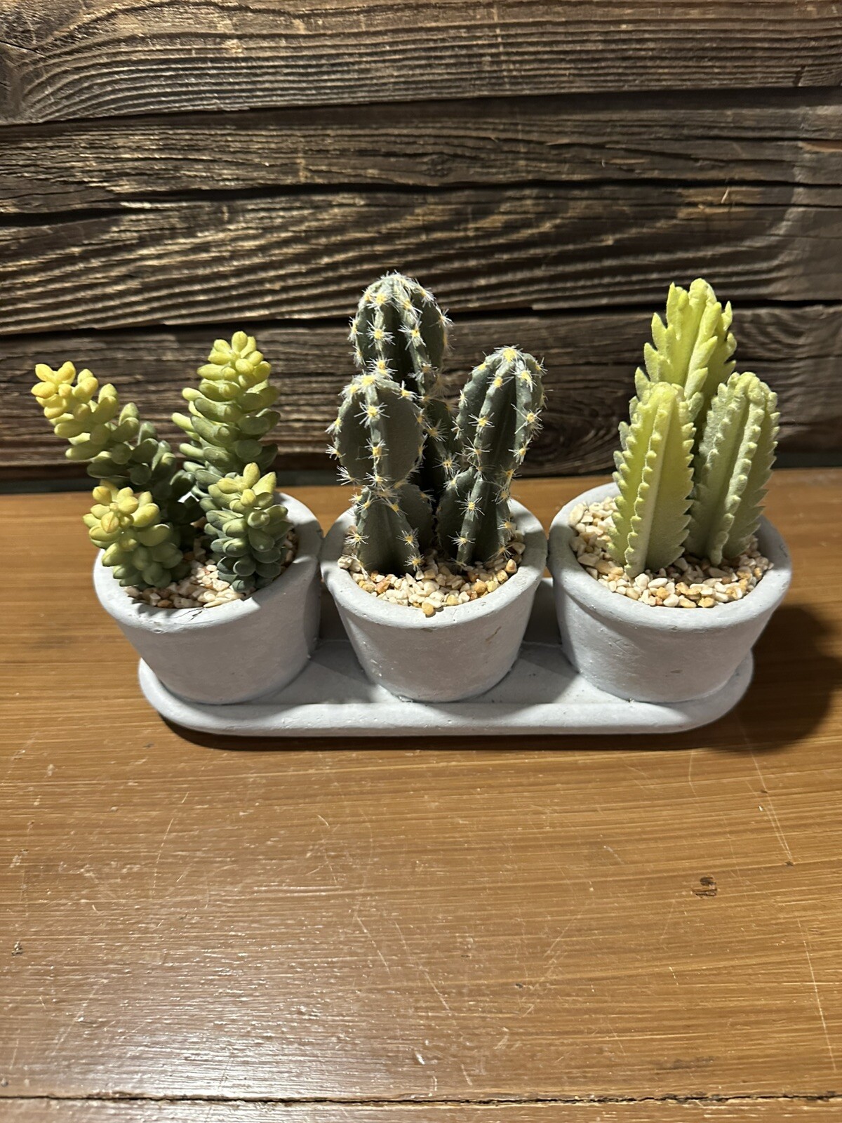 Faux Succulents In Concrete Planter Stone Gravel Set Of 3 (Trio) One Piece