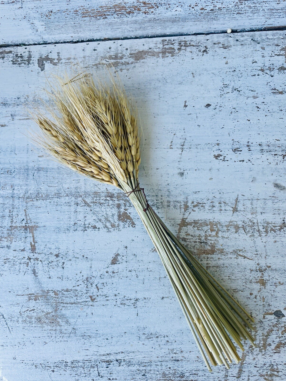Wheat Bundle Bouquet