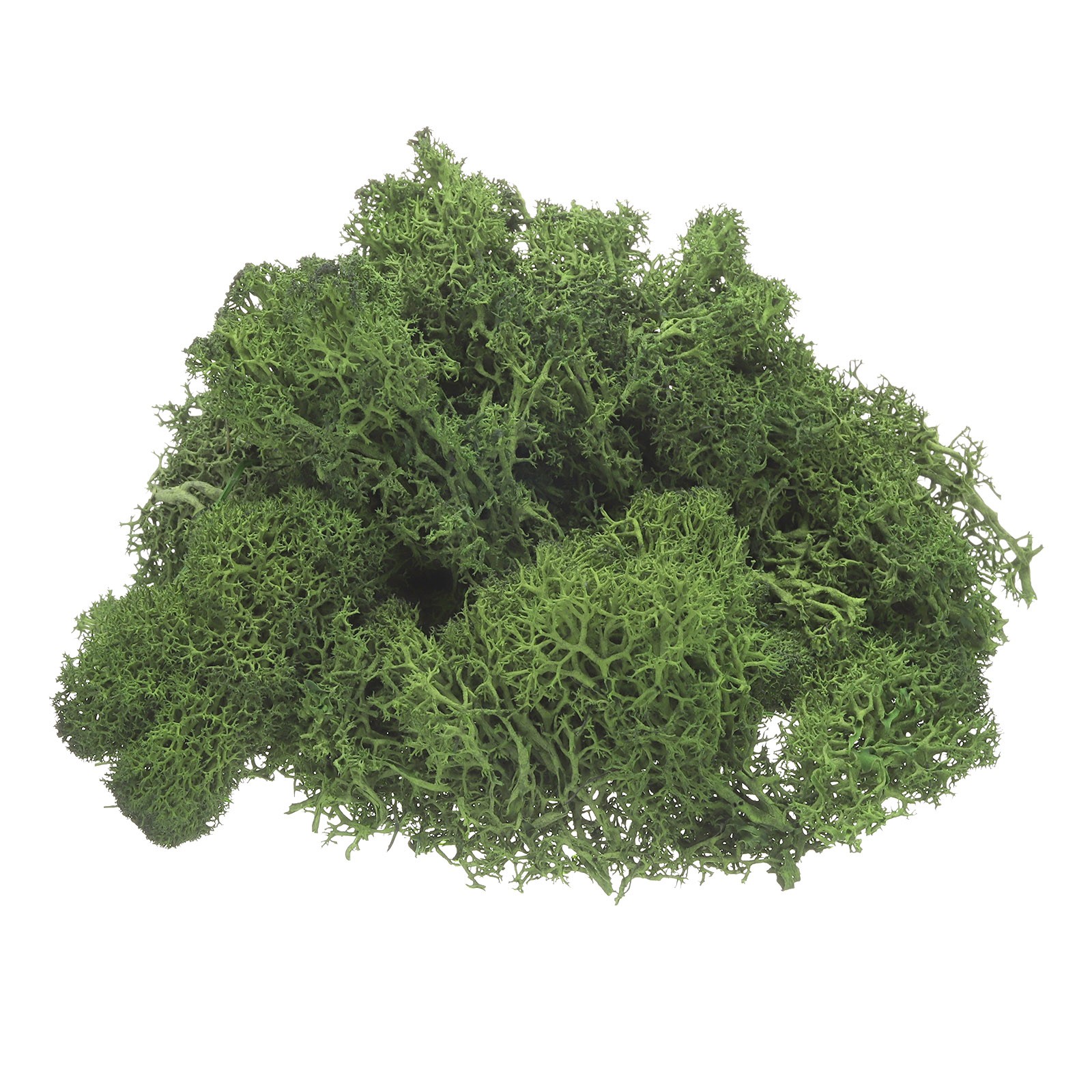Preserved Reindeer Moss 4 OZ Fake Moss for Craft Dark Green