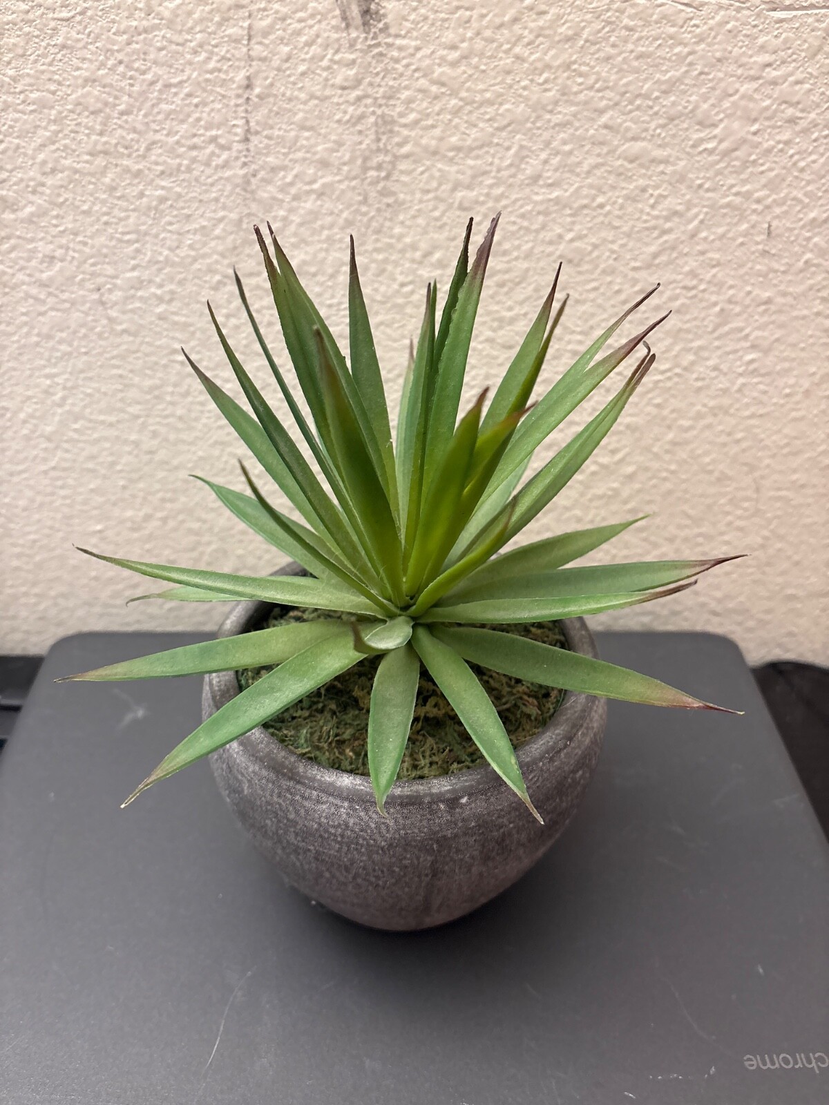 Spiky Green Artificial plant | Grey Pot | No visible Styrofoam