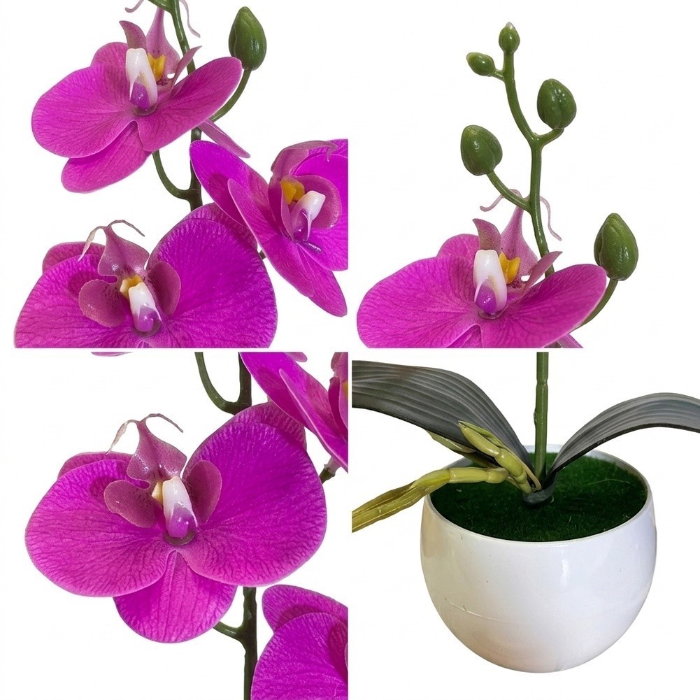 Four Flower Butterfly Orchid Bonsai Simulation in Round Belly Pot Decor