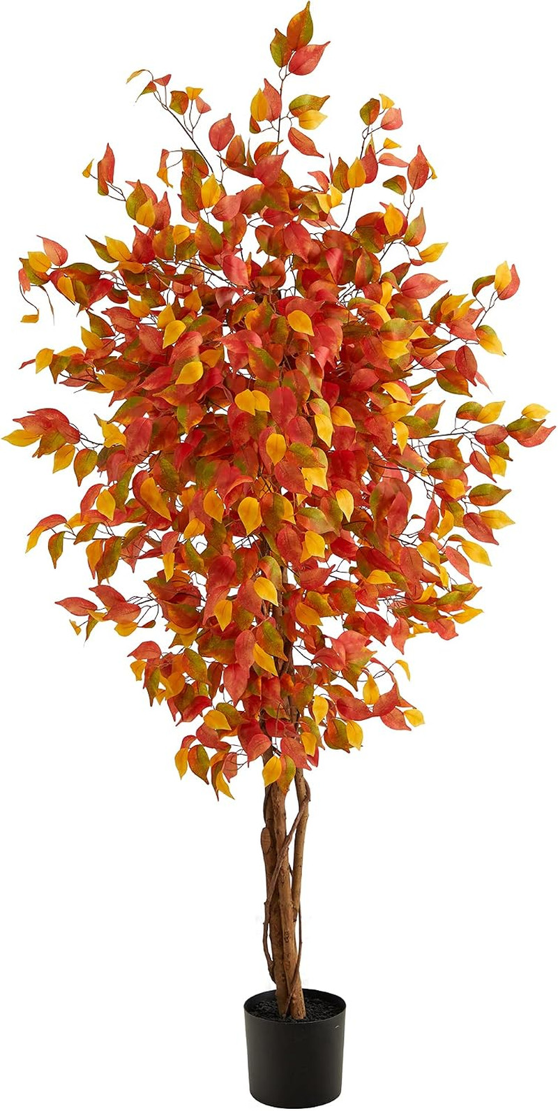 6 Ft Artificial Autumn Ficus Fall Tree with Nursery Pot | Natural Wooden Trunk,