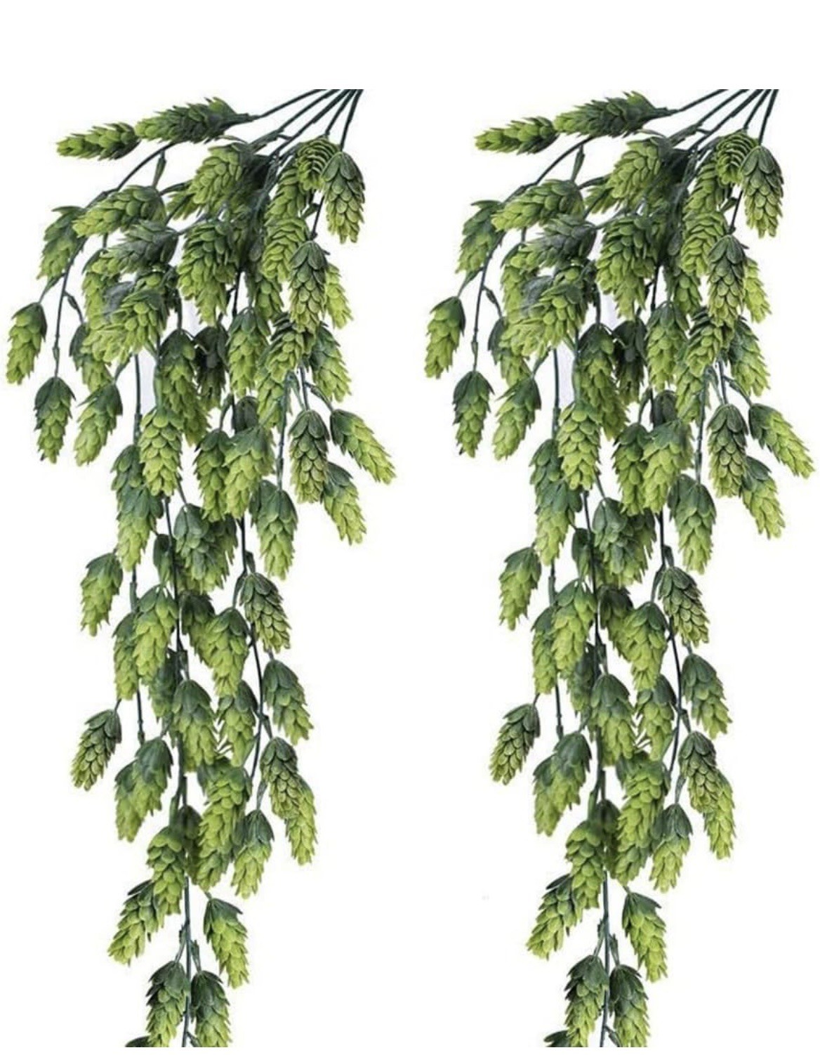 New Primitive Farmhouse BABY TEARS TRAILING STEM Bush Pick Branch Greenery